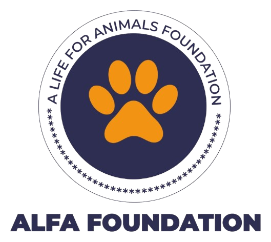 alifeforanimals.org